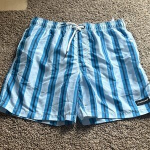 Island Haze Swim Trunks
